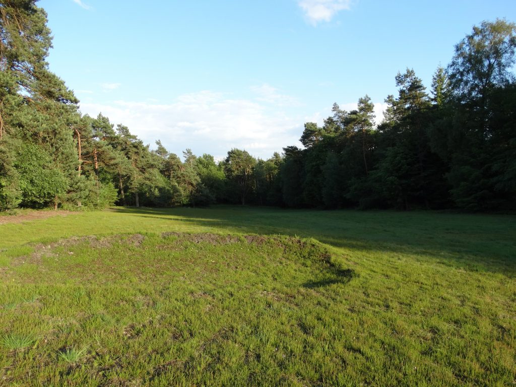 landgoed groenouwe_een heidehole_een dichtgegroeide bunker op voorgrond (2015_12_21 22_23_54 UTC)